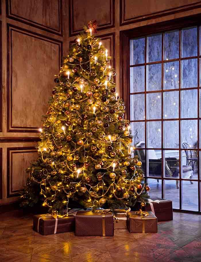 Classic Christmas And New Year Decorated Interior Room With New Year Tree Backdrop J-0013 Shopbackdrop