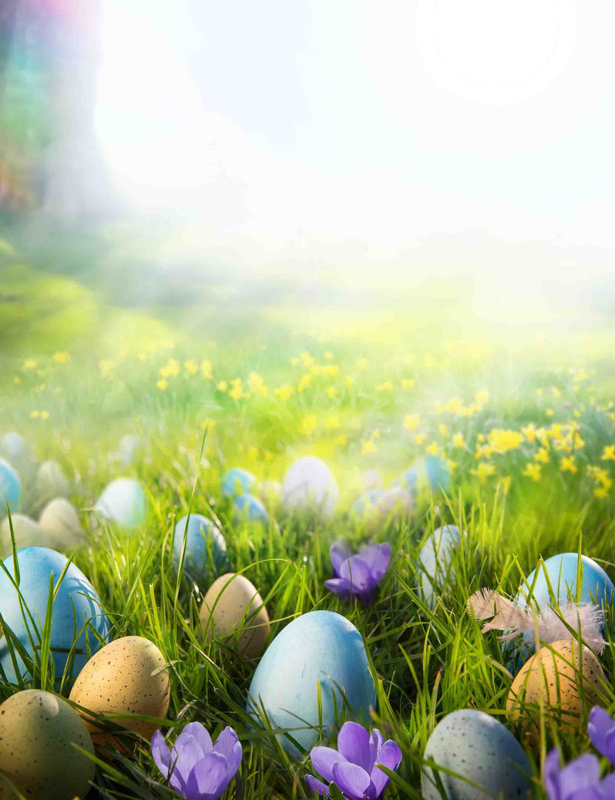 Printed Colorful Easter Eggs On The Grass In The Sunshine Backdrop For Photography Shopbackdrop