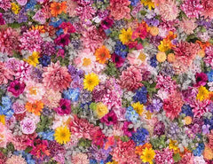 Colorful Flower Wall For Wedding Photography Backdrop J-0183 Shopbackdrop