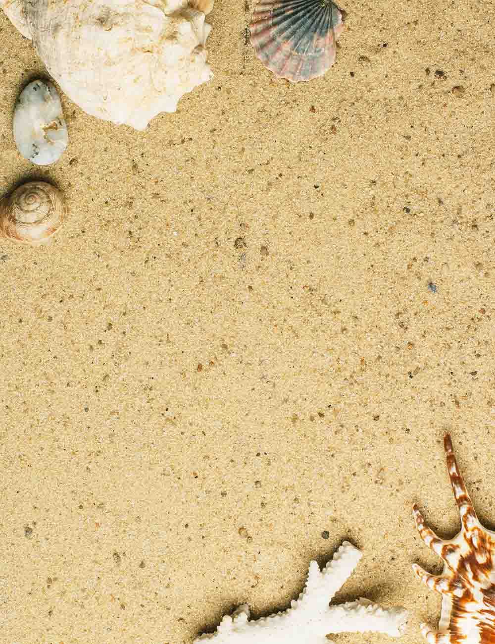 Conch Seashell On Beach For Baby Holiday Photography Backdrop Shopbackdrop