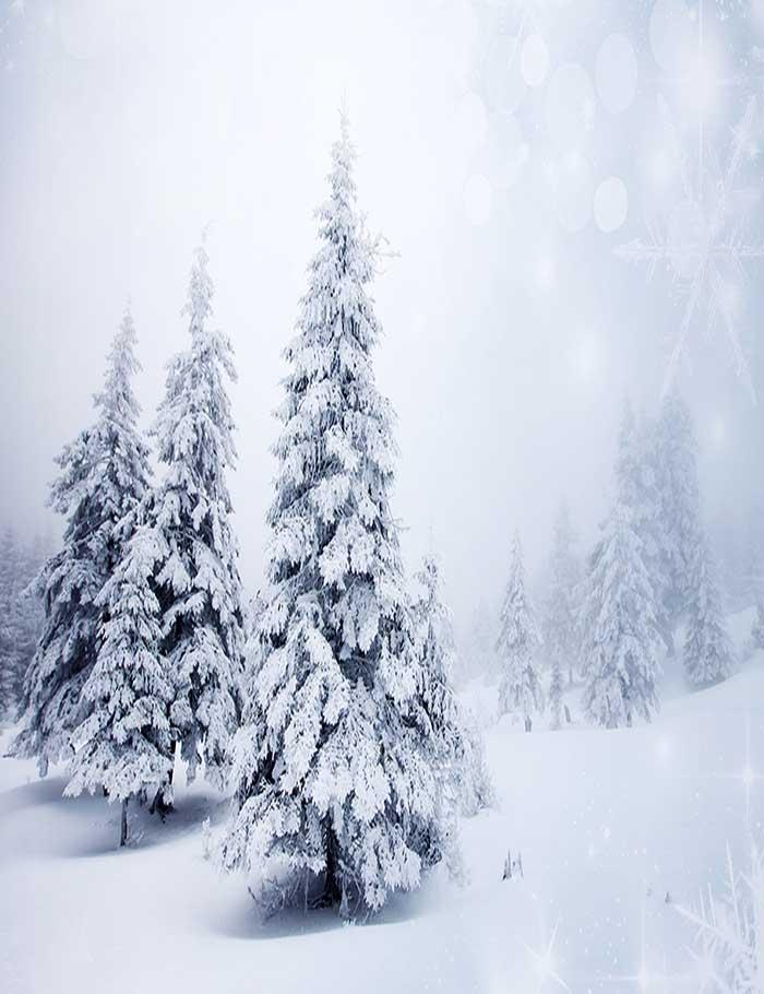 Covered Christmas Tree For Holiday Photography Backdrop J-0251 Shopbackdrop