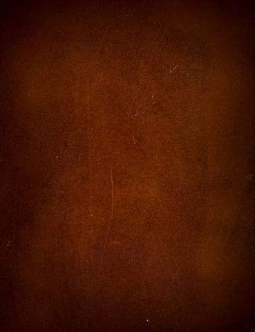 Dark Orange Printed Old Master Photography Backdrop J-0468 Shopbackdrop