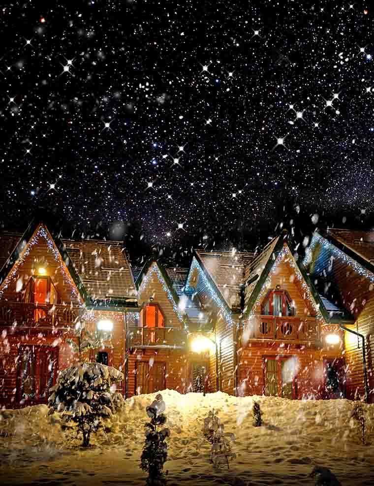 Decorated House With Christmas Lights In Night Snow Photography Backdrop J-0266 Shopbackdrop