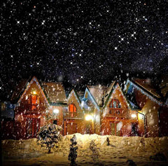 Decorated House With Christmas Lights In Night Snow Photography Backdrop J-0266 Shopbackdrop