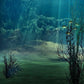 Deep In Oceans Depths Oasis For Children Photography Backdrop J-0361 Shopbackdrop