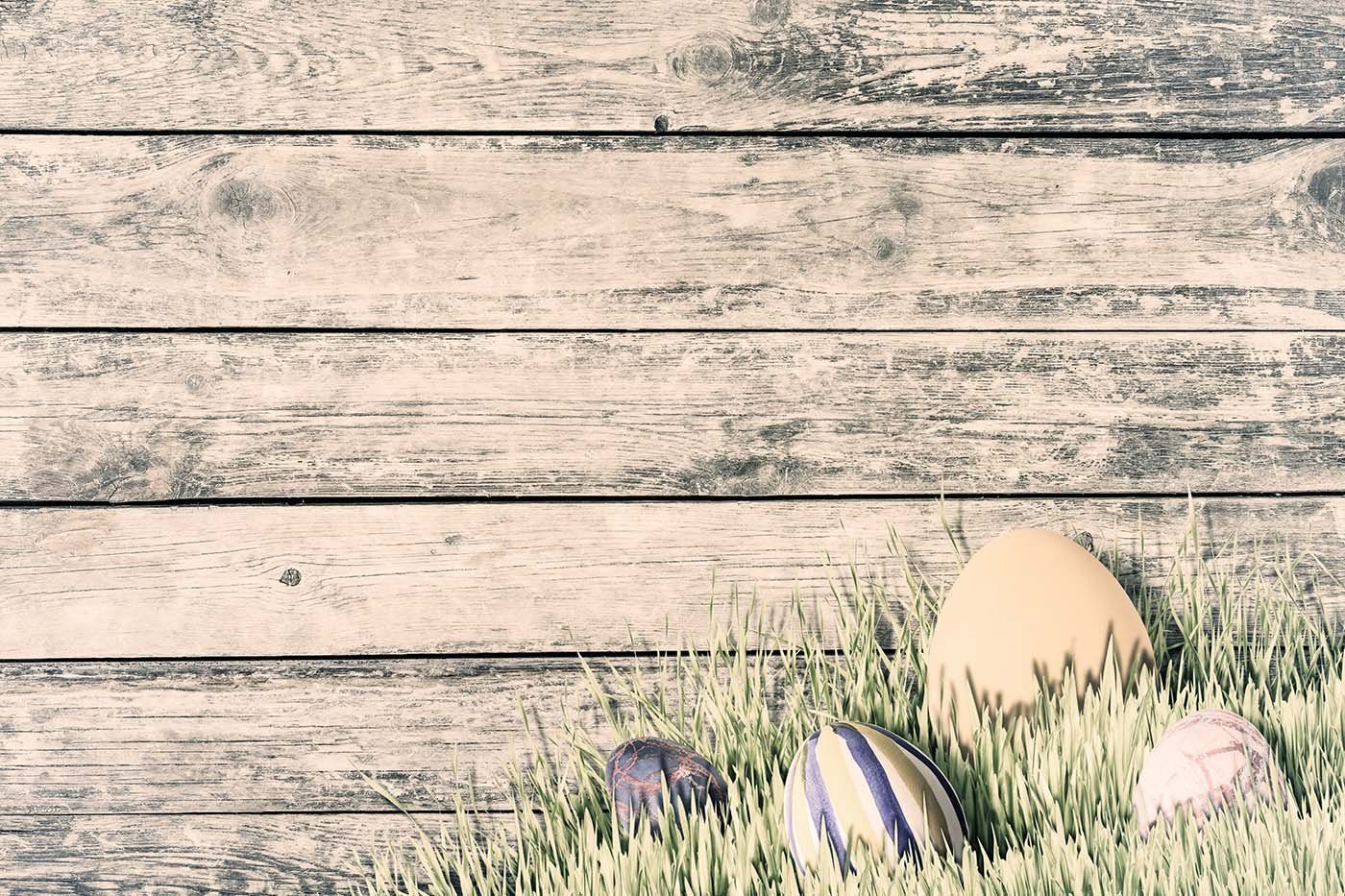 Easter Eggs In Grass With Grungy Wood Wall Photography Backdrop J-0753 Shopbackdrop