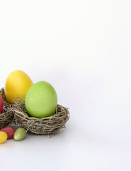 Easter Eggs In Nest On White Gray Solid Background Backdrop Shopbackdrop