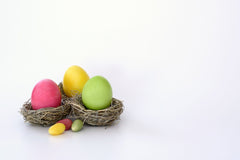 Easter Eggs In Nest On White Gray Solid Background Backdrop Shopbackdrop