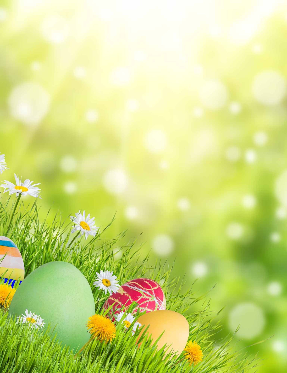 Easter Eggs In Sunshine Bokeh Sparkle Photography Backdrops Shopbackdrop