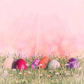 Easter Holiday With Pink Background And Colorful Eggs On The Grass Shopbackdrop