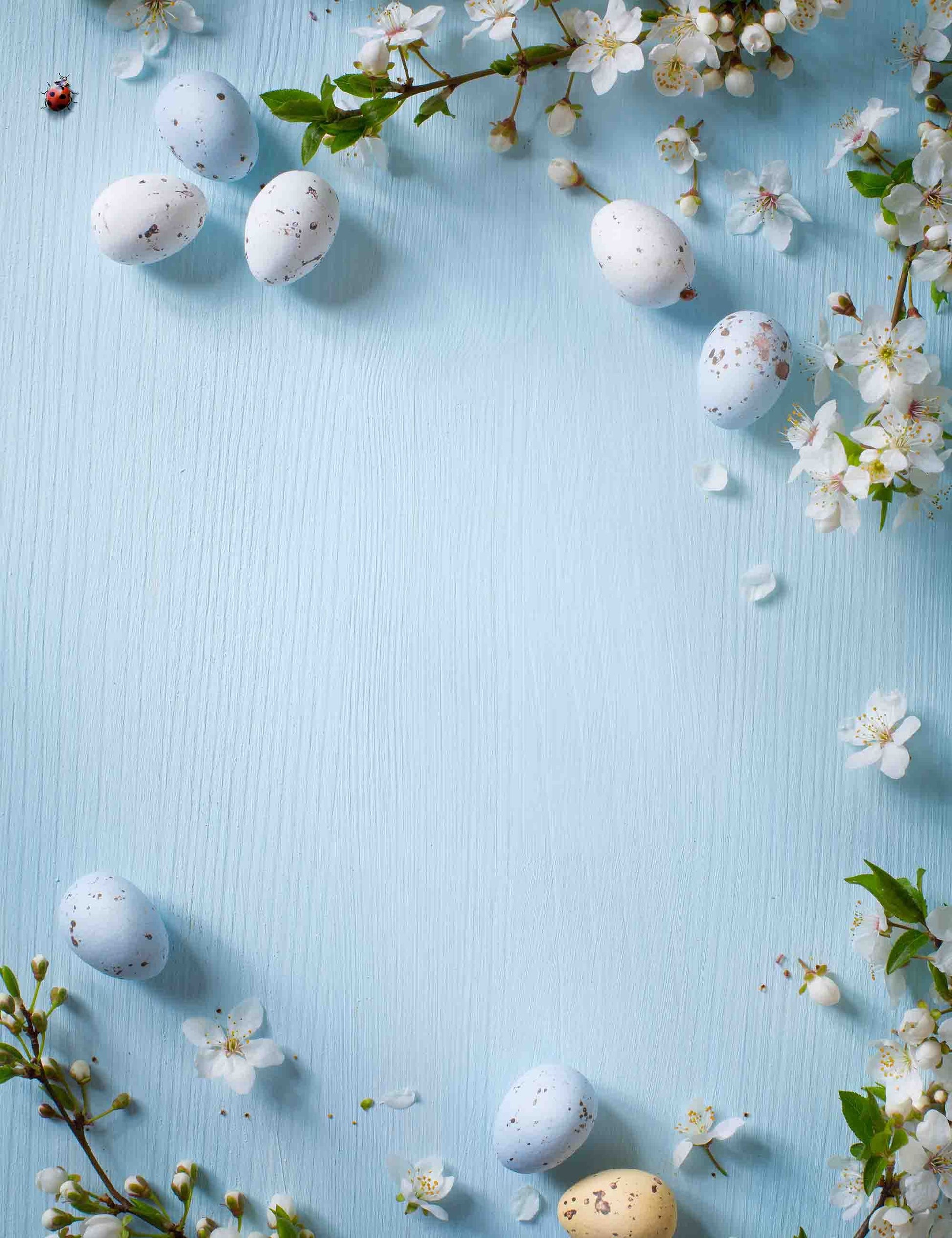 Eggs And Flowers On Baby Blue Wood Backdrop For Photography Shopbackdrop