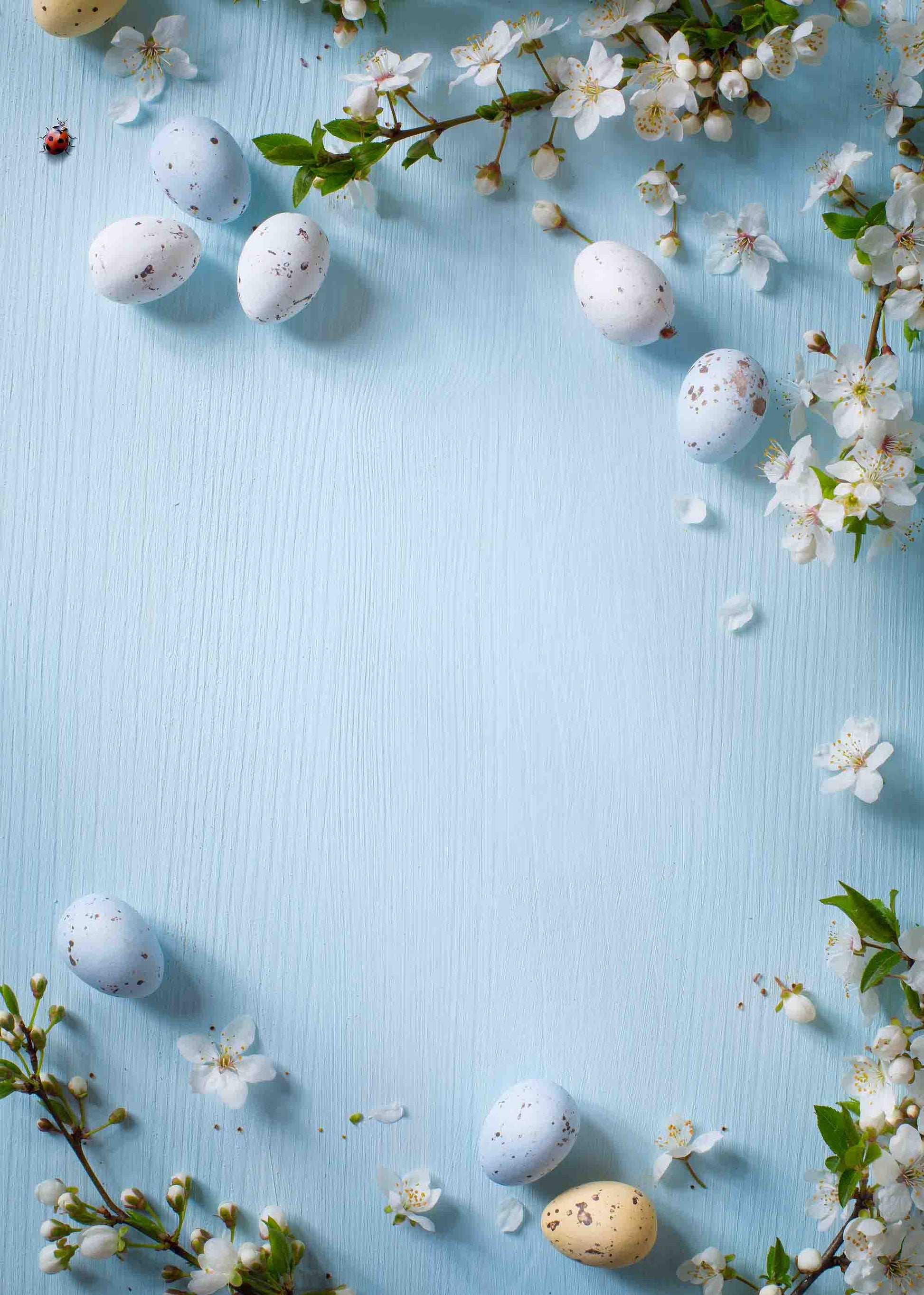 Eggs And Flowers On Baby Blue Wood Backdrop For Photography Shopbackdrop