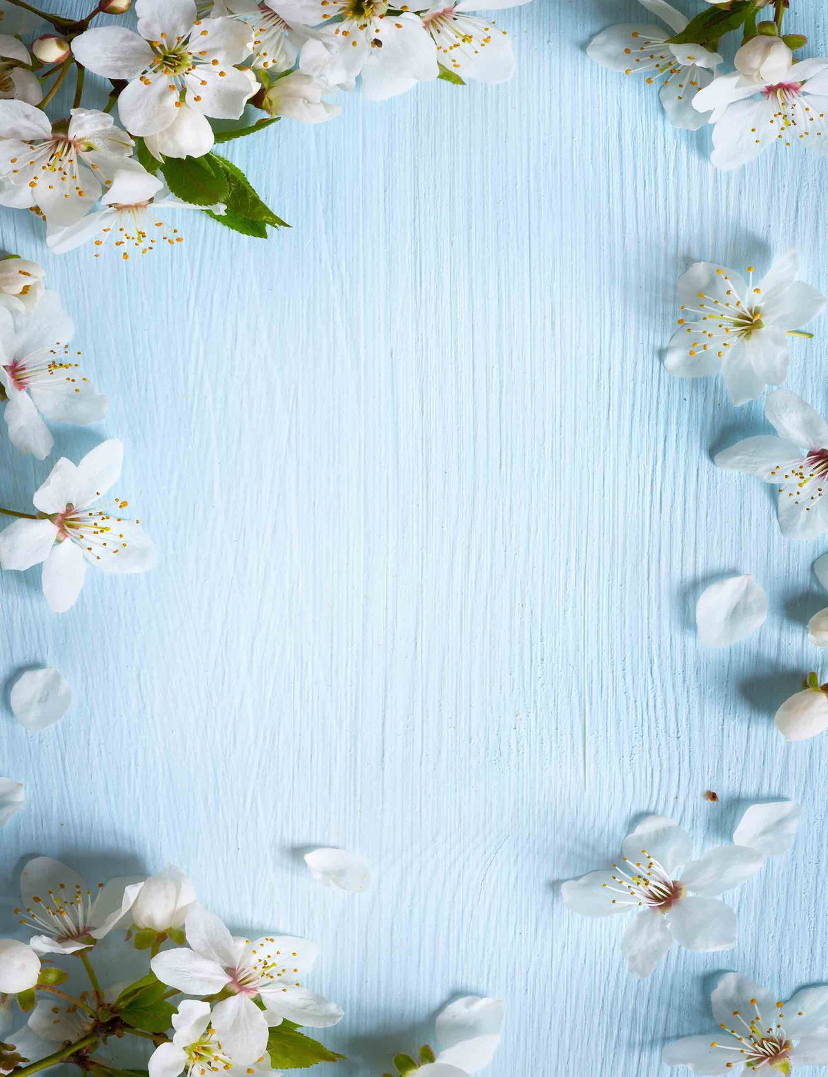 Cherry Flowers On Light Blue Wood Backdrop For Photography Shopbackdrop