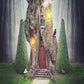 Fairy Tree House In Fantasy Forest With Stone Road Photography Backdrop J-0213 Shopbackdrop