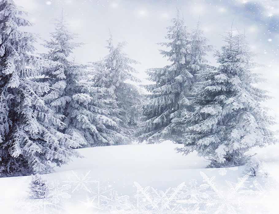 Fir Tree Covered Snow For Winter Holiday Photography Backdrop J-0250 ...