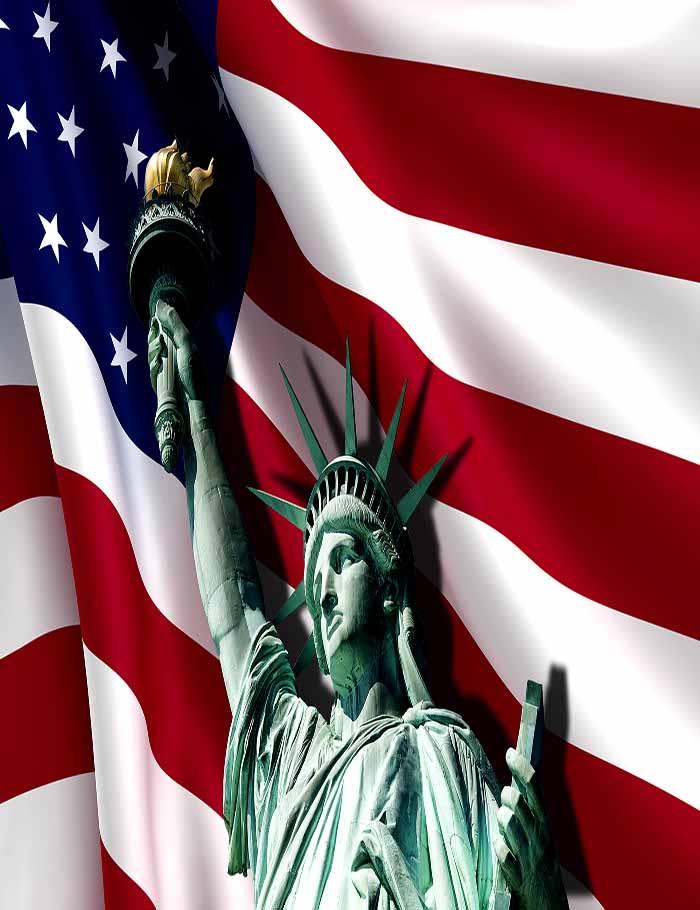Flag And Statue Of Liberty For Independence Day Photography Fabric Backdrop Shopbackdrop