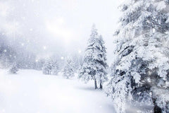 Forest Covered With Snow For Winter Holiday Photography N-0006 Shopbackdrop