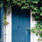 Garden Blue Wood Door White Wall Backdrop For Photography Shopbackdrop