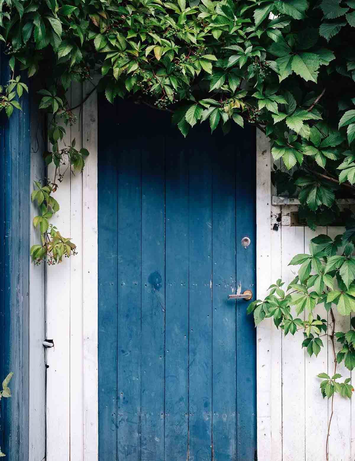 Garden Blue Wood Door White Wall Backdrop For Photography Shopbackdrop