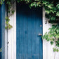 Garden Blue Wood Door White Wall Backdrop For Photography Shopbackdrop