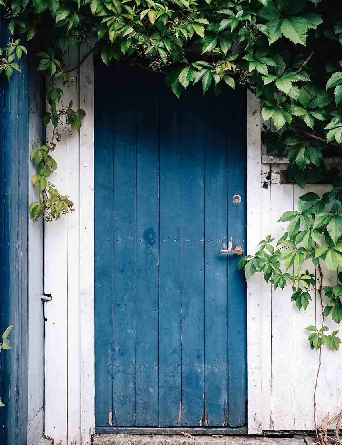 Garden Blue Wood Door White Wall Backdrop For Photography Shopbackdrop