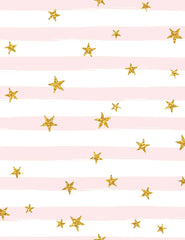 Golden Stars Printed Pinks Stripes Photography Backdrop Shopbackdrop