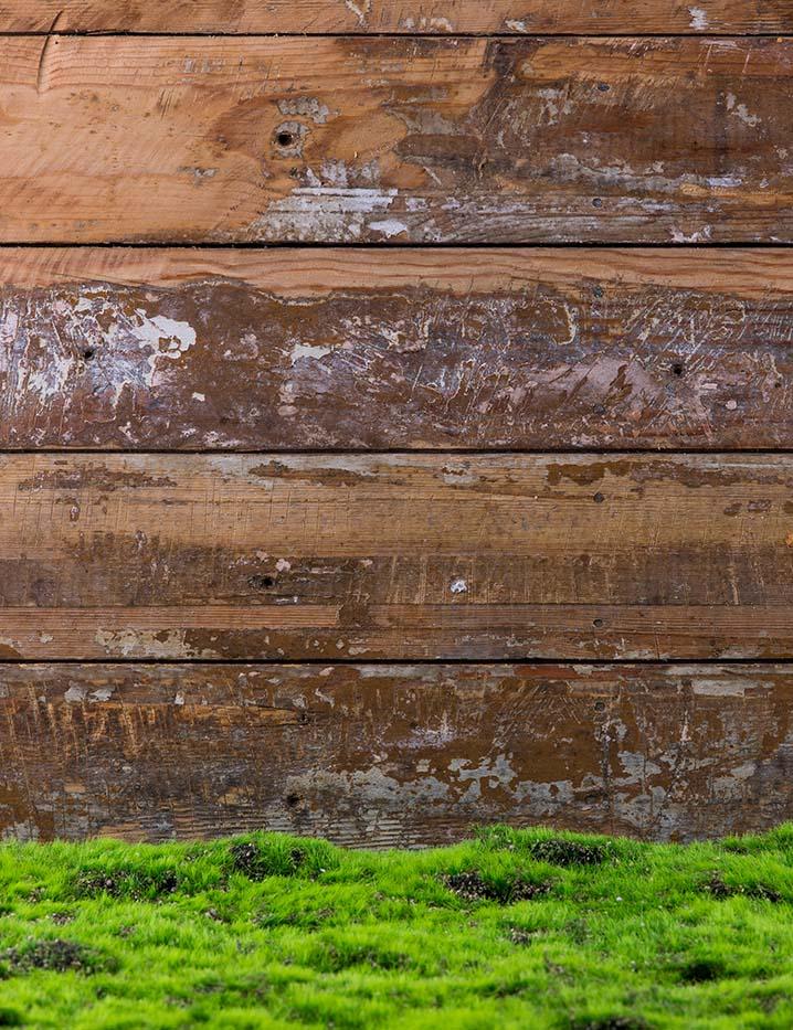 Green Grass Floor With Wood Wall Backdrop For Photography J-0761 Shopbackdrop