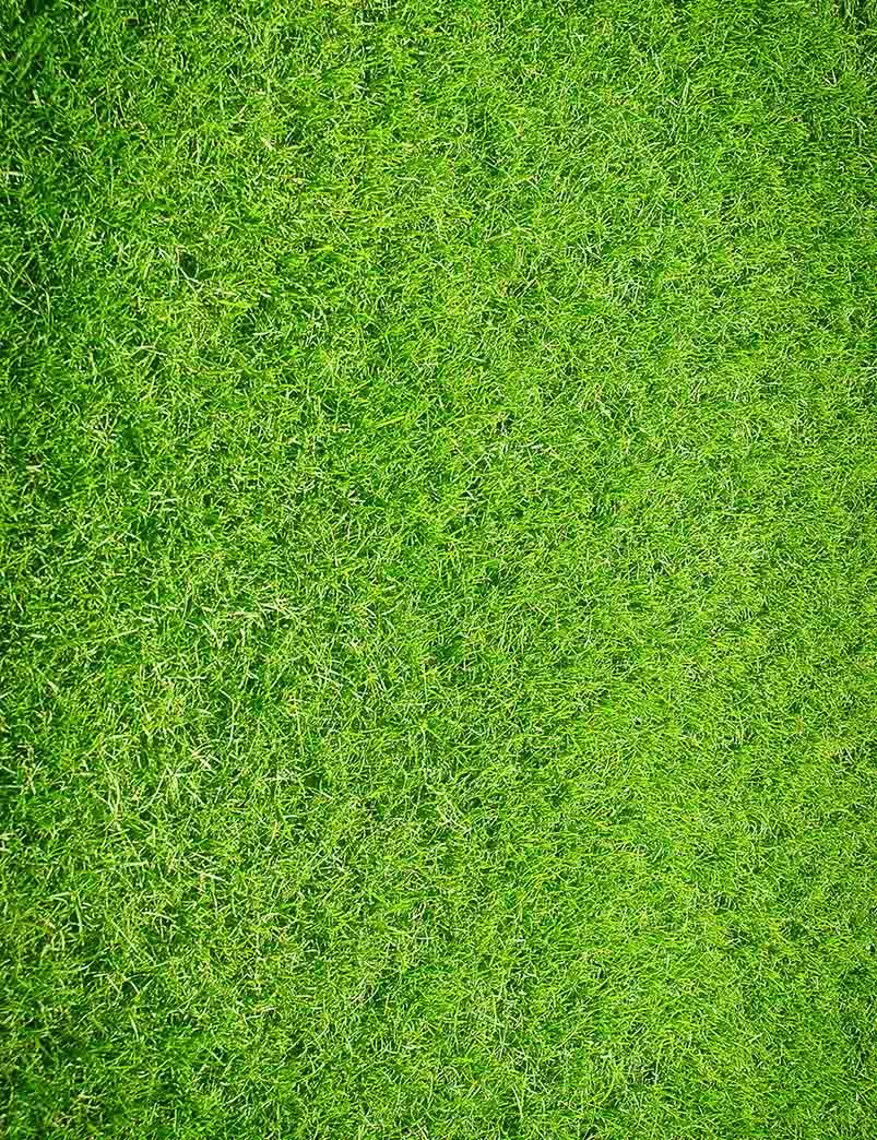 Green Lawn Floor Mat Photography Backdrop Shopbackdrop