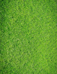 Green Lawn Floor Mat Photography Backdrop Shopbackdrop