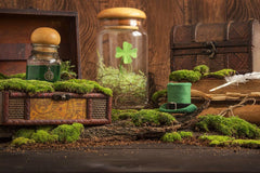 Green Potion Flask And Leprechaun Hat On Wood Table Photography Backdrop J-0692 Shopbackdrop