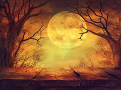 Halloween Background With Ball Moon Photography Backdrop Shopbackdrop
