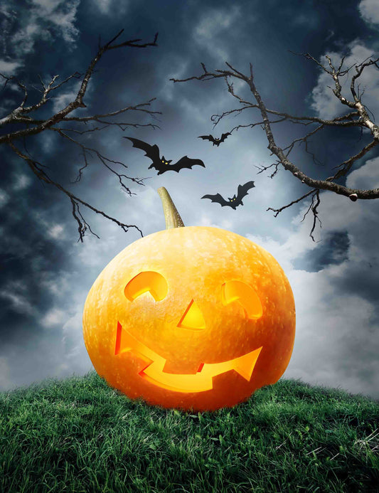 Halloween Pumpkin Lantern On Grass With Gloomy Background For Holiday Backdrop Shopbackdrop