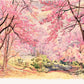 Hand Painted Watercolor Spring Flower Tree Photography Backdrop J-0808 Shopbackdrop