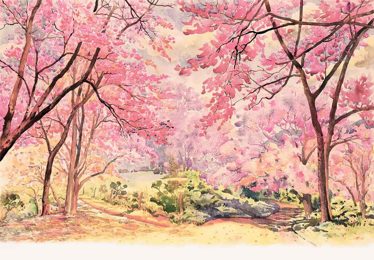Hand Painted Watercolor Spring Flower Tree Photography Backdrop J-0808 Shopbackdrop