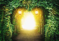 Heart Road in Fantasy Forest With Magic Light Photography Backdrop Shopbackdrop