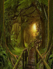 Jungle Boardwalk With Sunlight Backdrop For Baby Photography Shopbackdrop