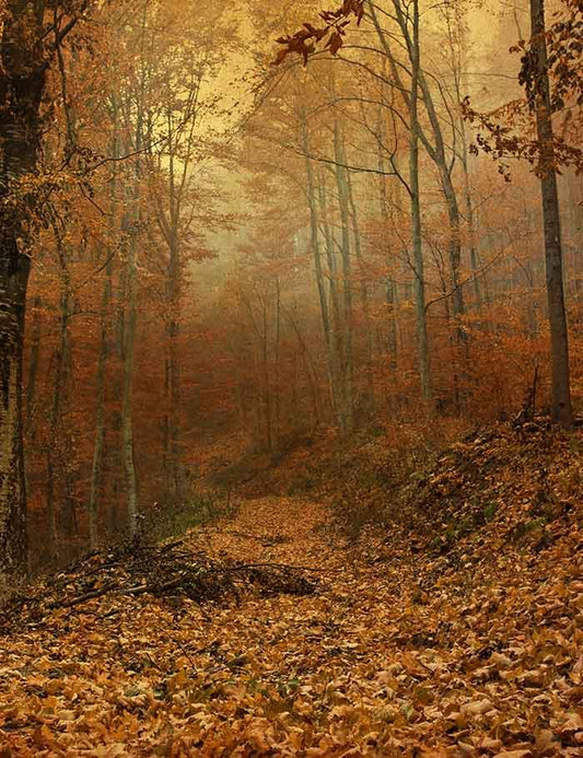 Late Autumn Forest Leaves Covered The Rode Photography Backdrop J-0459 Shopbackdrop