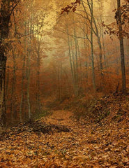 Late Autumn Forest Leaves Covered The Rode Photography Backdrop J-0459 Shopbackdrop