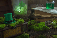 Leprechaun Hat With Green Potion Flask On Wood Table Photography Backdrop J-0693 Shopbackdrop