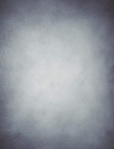Light Gray Printed Old Master Backdrop Photography J-0715 Shopbackdrop