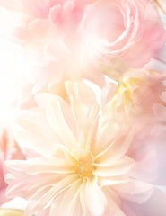 Light Pink Flower Backdrop For Baby Photography Shopbackdrop