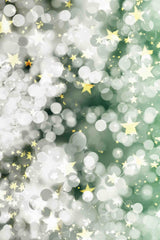 Light Silver Bokeh And Golden Start Sparkle Photography Backdrop Shopbackdrop