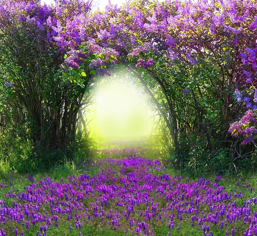 Magic Spring With Purple Flower Photography Backdrop J-0516 Shopbackdrop