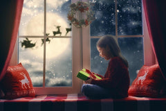 Magical Gift Box Befor Window For Christmas Photography Backdrop N-0062 Shopbackdrop