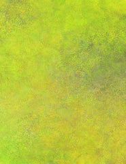 Moon Yellow  Old Master Photography Backdrop Shopbackdrop