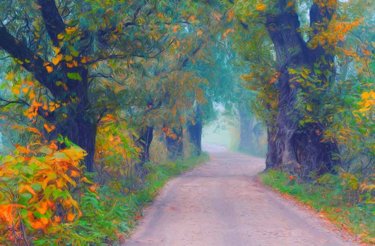 Oil Painted Autumn Road With Trees Photography Backdrop N-0078 Shopbackdrop