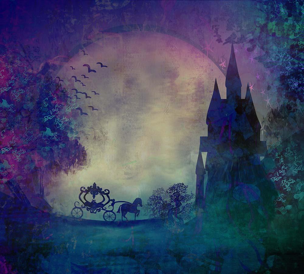 Oil Painted Magic Carriage Castle For Children Photography Fabric Backdrop Shopbackdrop