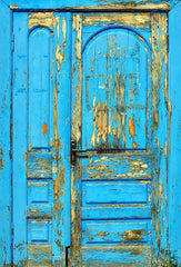 Old Blue Painted Wood Door With Forged Metal Handle Photography Backdrop Shopbackdrop
