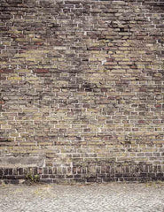 Old Brown Brick Wall With Pavement Photography Backdrop J-0061 Shopbackdrop