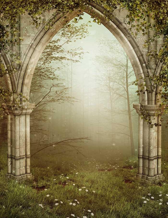 Old Gothic Ruins With Ivy Backdrop For Photography J-0447 Shopbackdrop
